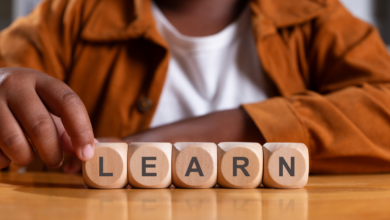 What Is a Learnership, and Is It Actually Worth Your Time?